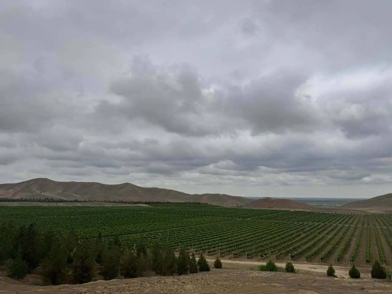 Call to action image with grapes